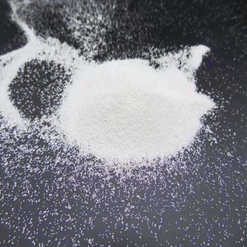 DSC02430_สำเนา-600x450